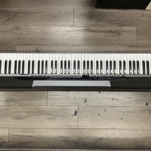 Casio Px-320 Privia Keyboard