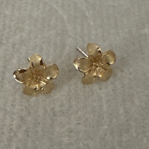 Earrings 14kyg 1g 