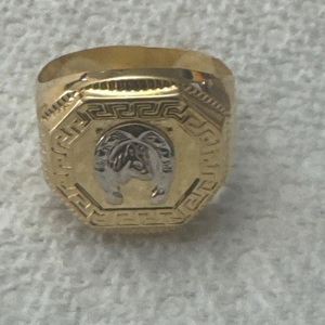 Gts Rg 18k2t 6.6g 
