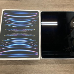 APPLE IPAD PRO 6TH GEN