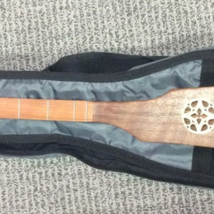 Woodrow Guitar Crystacello