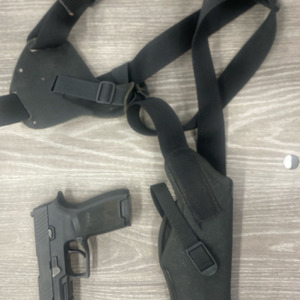 Sig Sauer P320