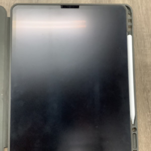 Apple Ipad Pro Mxfj2ll/A
