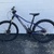 Trek Bicycle Marlin 5 Mountain Bike