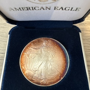 Toned 2006 Silver Eagle  In Case