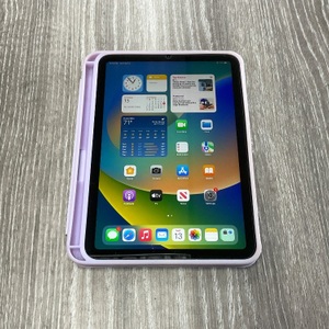 IPAD MINI 6TH GEN WIFI+CELL