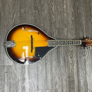 ADM MANDOLIN WITH SOFT CASE