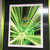 None Artwork Prints