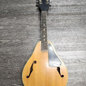 MANDOLIN NO STRINGS