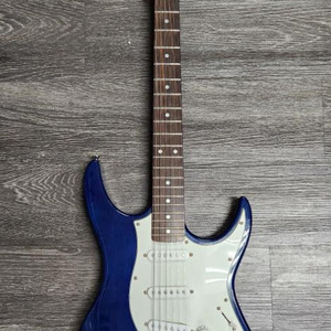 Baja Electric Guitar