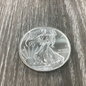 None Silver Bullion/Coin/Bar