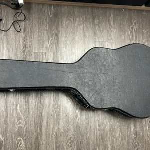 SEAGULL EXCURSION NET SG ACOUSTIC GUITAR WITH HARD CASE 