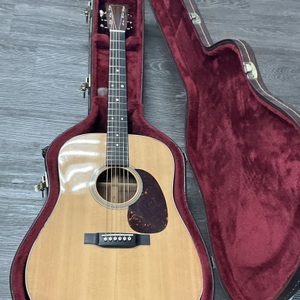 Martin Guitar D-16E
