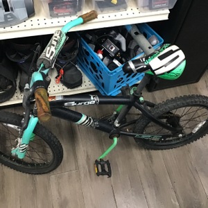 SURGE NEXT YOUTH BICYCLE