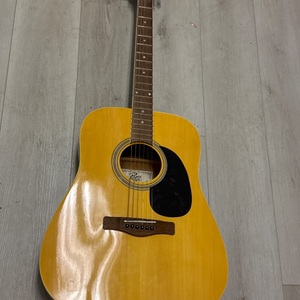 ROGUE RD80 ACOUSTIC GUITAR