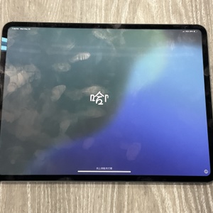 APPLE IPAD PRO 7TH GEN 13" 1TB CELLULAR