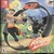 NINTENDO RING FIT ADVENTURE