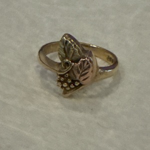 Two tone Gold Band Ring 2.7g/10kt 