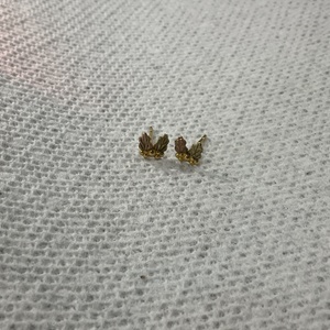 Tricolour Gold BHG Earrings 0.6g/10kt 
