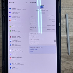 Samsung Galaxy Tab S10+ CRACKED SCREEN **AS-IS**