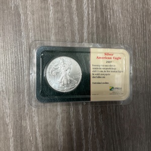 2001 SILVER EAGLE SPOT +  3