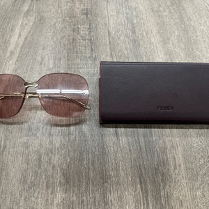 GUCCI GG0355S IN FENDI CASE