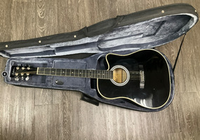 Esteban  ALC-200 ACOUSTIC GUITAR W/CASE