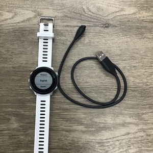GARMIN FRONTRUNNER 55