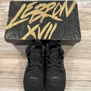 NIKE BQ3177-001 Lebron 17 Shoes