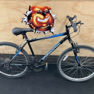 ROADMASTER SPEEDSTICK ROAD BIKE