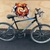ROADMASTER SPEEDSTICK ROAD BIKE