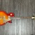 JCX STARGAZER ELECTRIC GUITAR