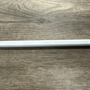 APPLE PENCIL USB-C