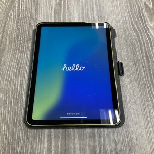 IPAD A16 WIFI+CELL 256GB STORAGE W/CASE