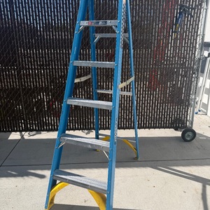 WERNER 6' LADDER