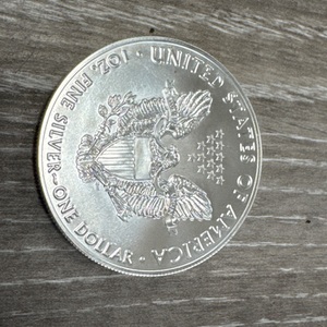 1 OZ .999 SILVER EAGLE ROUND SPOT +$3