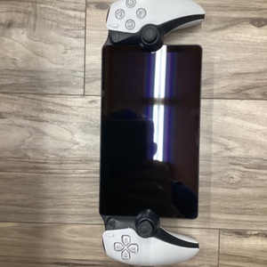 SONY PLAYSTATION 5 PORTAL